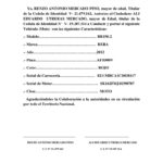 Autorizacion para dar de baja un vehiculo