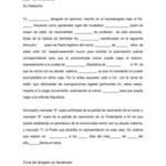 Autorizacion policial para viajar ni&ntilde;os