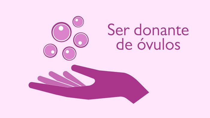 donar óvulos en España