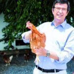 Subvenciones para granja de pollos 2021 andalucia