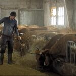 Subvenciones para jovenes ganaderos asturias 2021